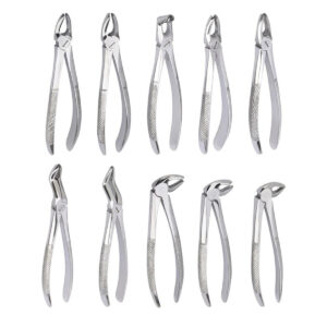 10 Pieces Adult Extraction Forceps Set (Regular Pattern)