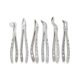 6 Pieces Extraction Forceps Set